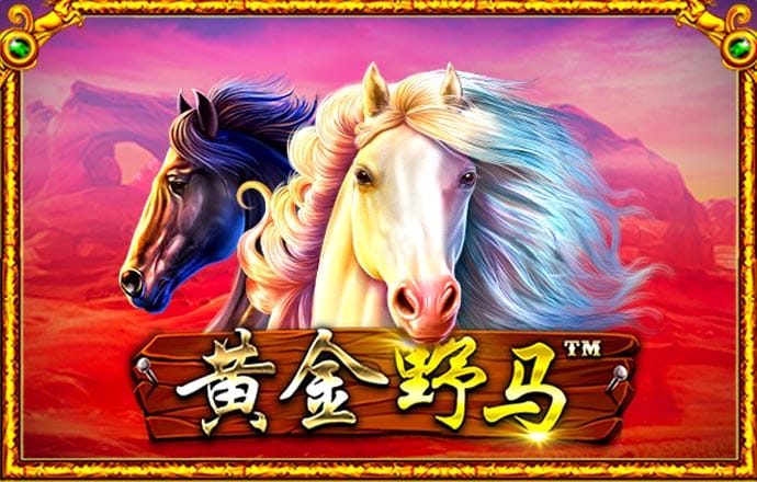 有趣，是一种高级的智慧