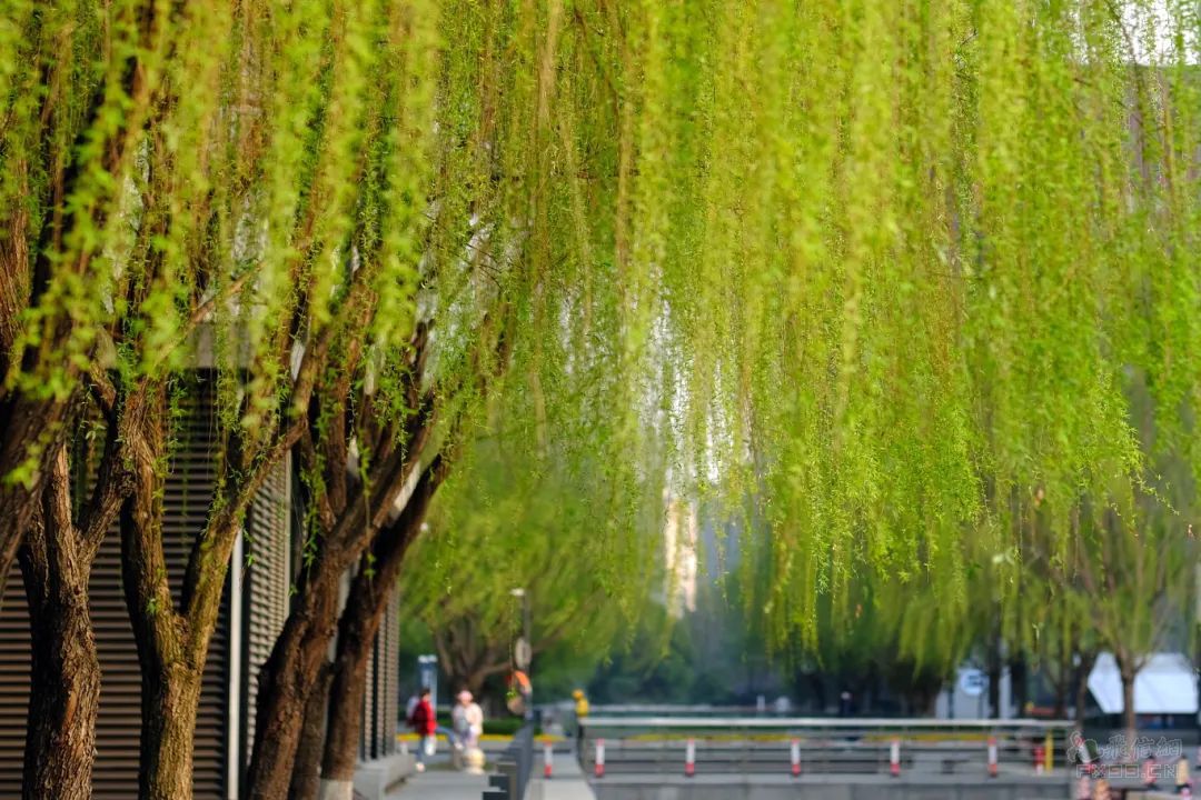 券商大消息！国泰君安吸收合并海通证券，行业迎来整合浪潮